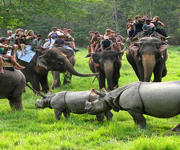 Chitwan JungleSafari 